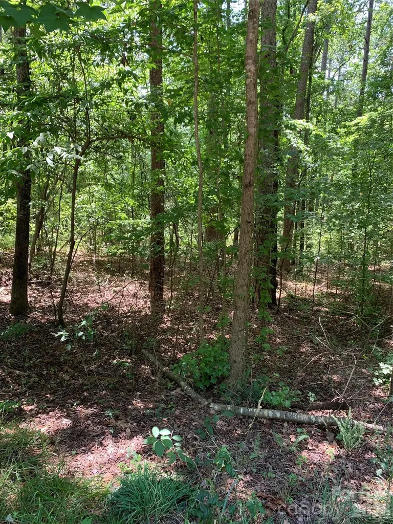 220 Lakewood Court New London NC 28127