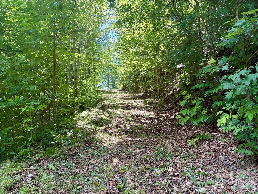 0 Eagles Roost Road Bryson City NC 28713