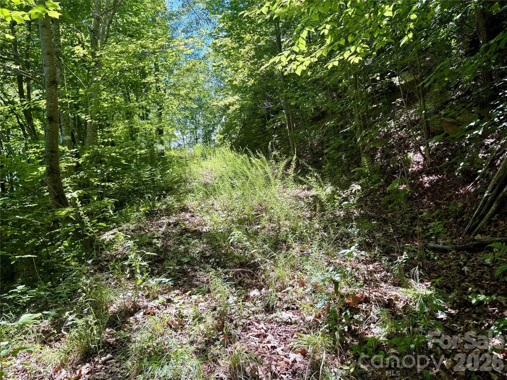 0 Eagles Roost Road Bryson City NC 28713