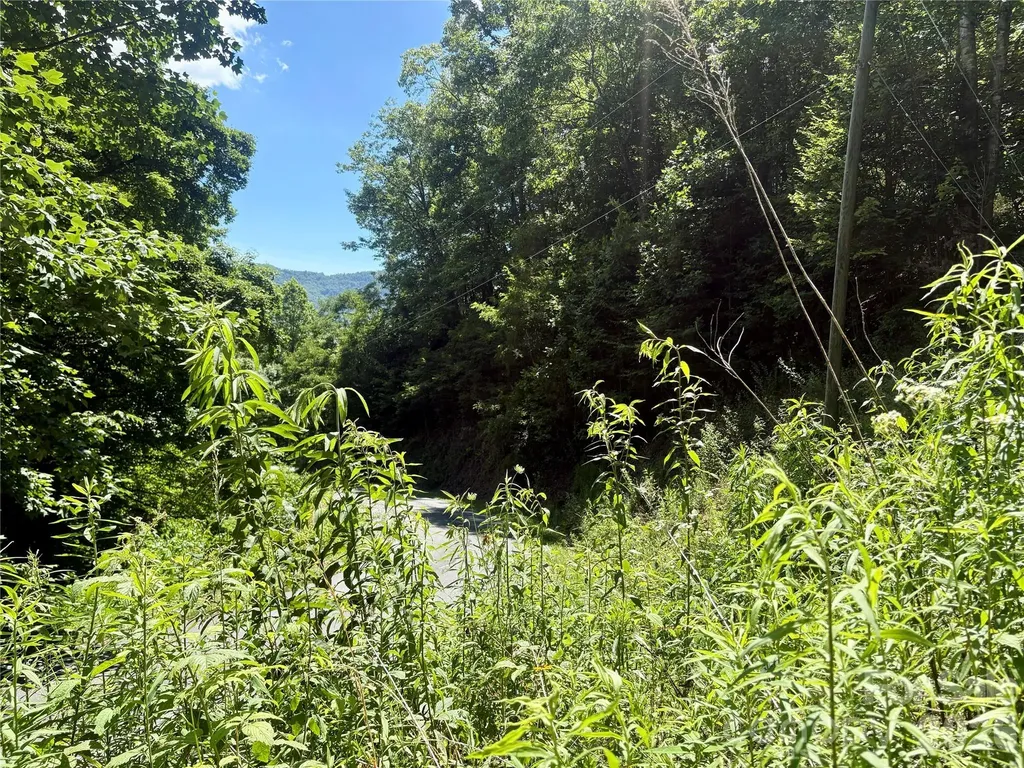0 Eagles Roost Road Bryson City NC 28713