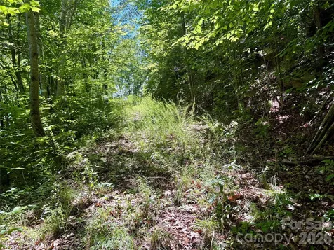 0 Eagles Roost Road Bryson City NC 28713