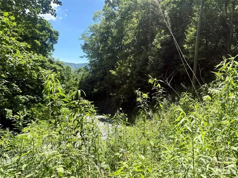 0 Eagles Roost Road Bryson City NC 28713