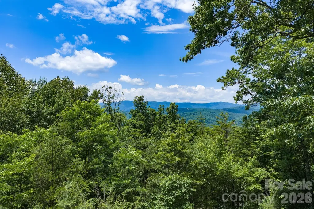 1987 Buck Mountain Road Purlear NC 28665