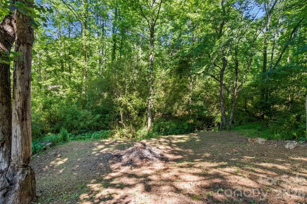 848 Huffman River Lane Purlear NC 28665