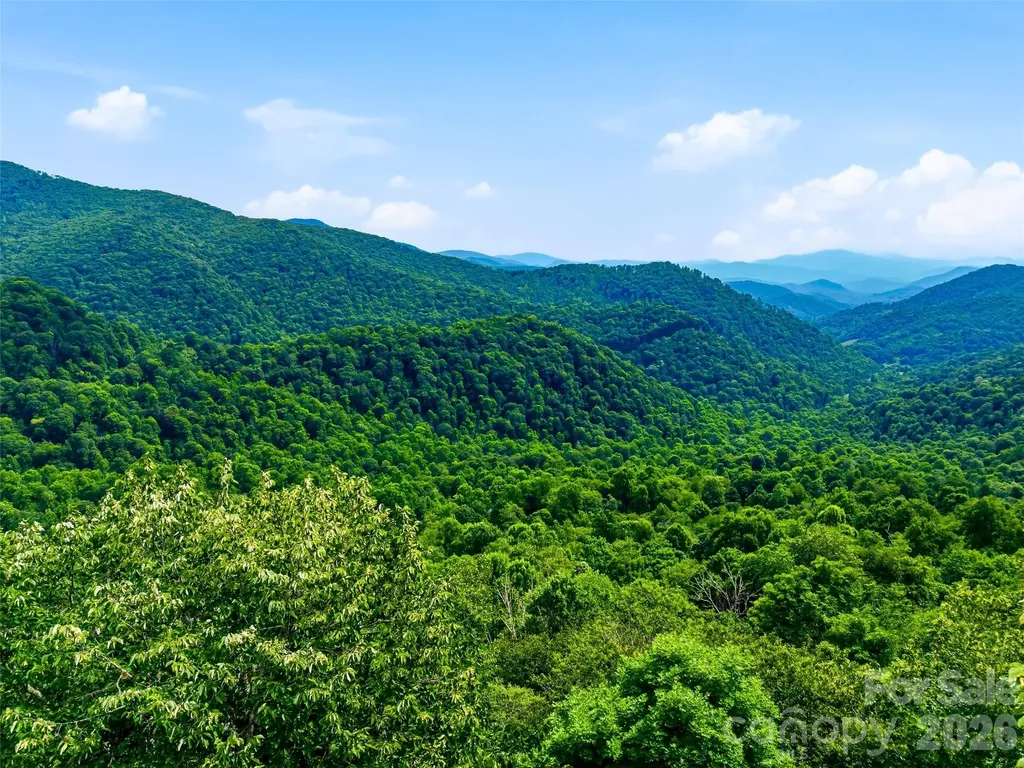 17 Mountain Gait Drive Mars Hill NC 28754