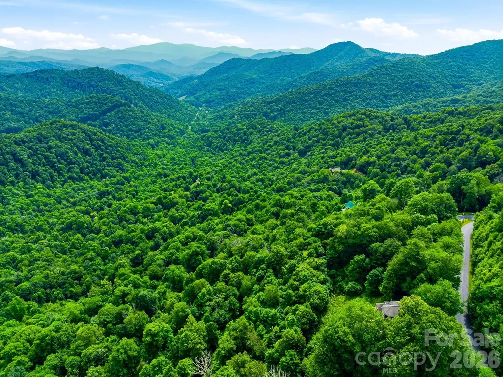 17 Mountain Gait Drive Mars Hill NC 28754