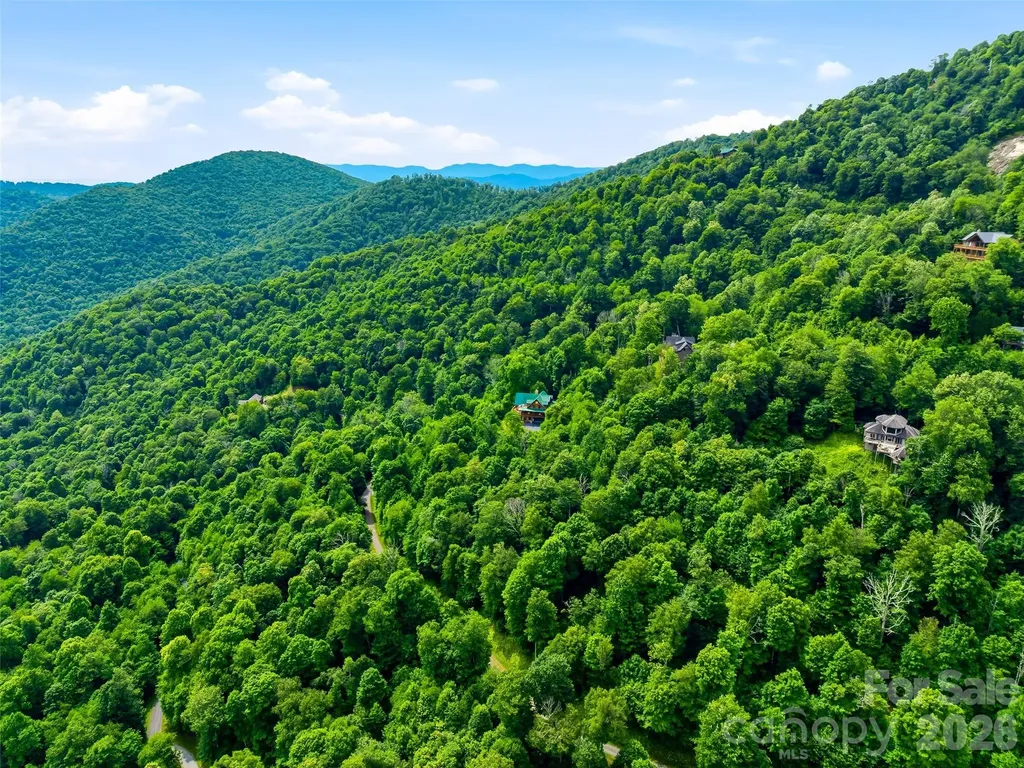 17 Mountain Gait Drive Mars Hill NC 28754