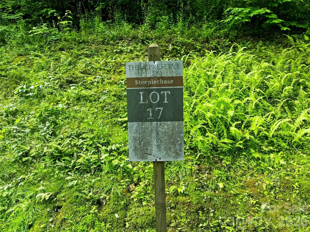 17 Mountain Gait Drive Mars Hill NC 28754