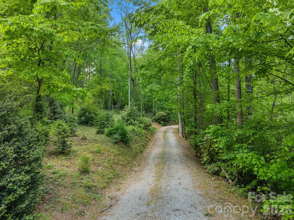 41 Red Bird Road Tryon NC 28782