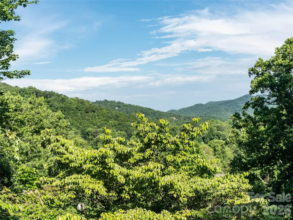 45 Mountain View Avenue Black Mountain NC 28711