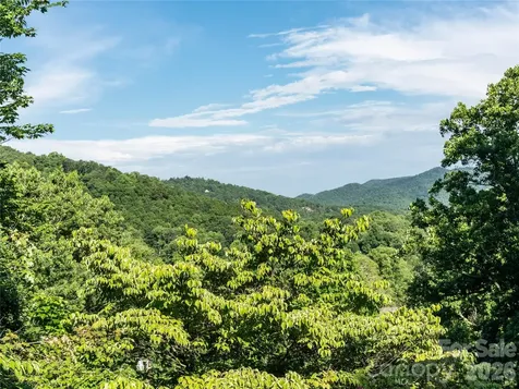 45 Mountain View Avenue Black Mountain NC 28711