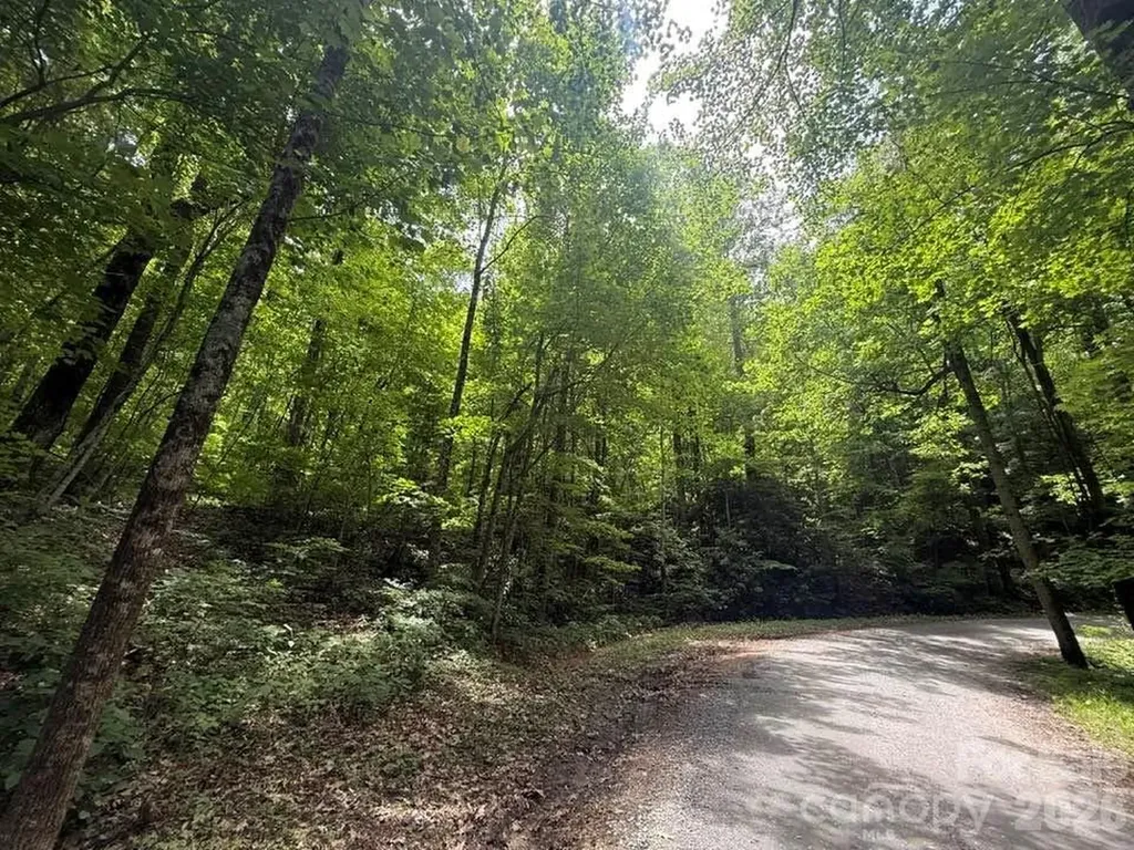 000 Summit Road Tryon NC 28782