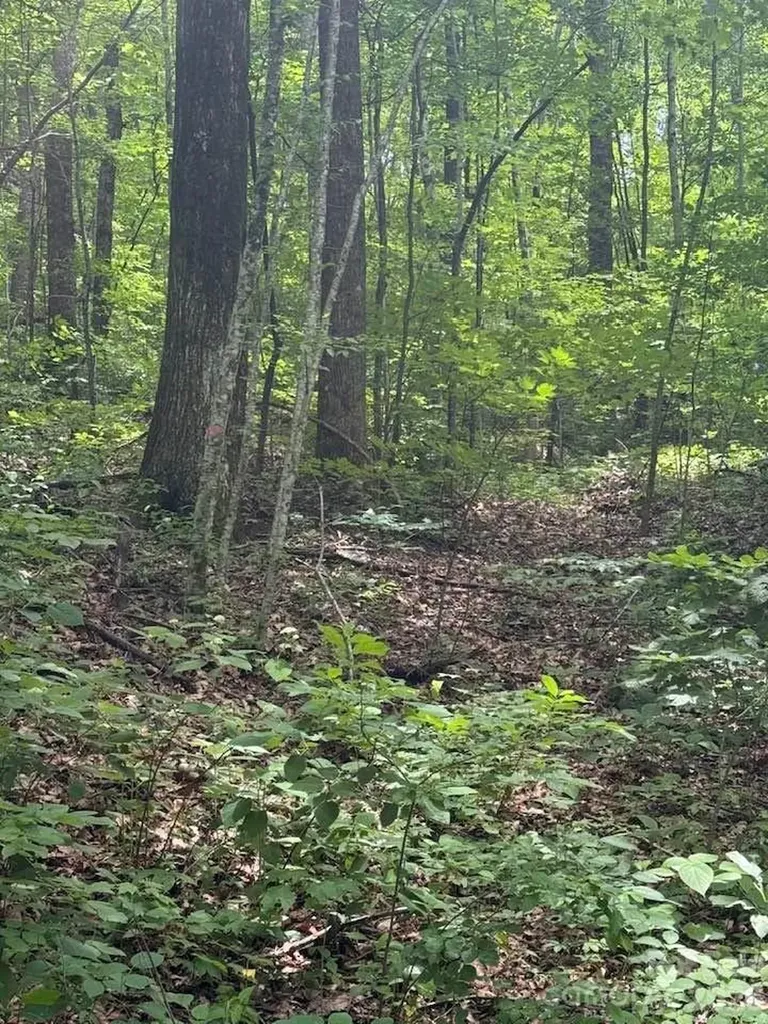 000 Summit Road Tryon NC 28782