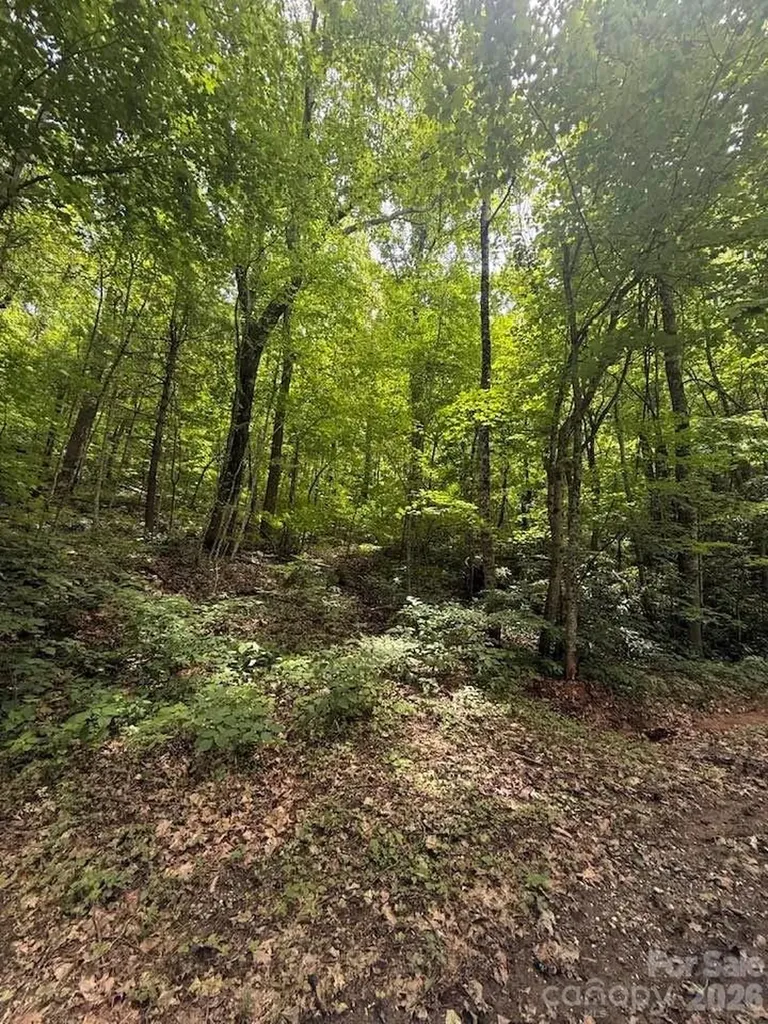 000 Summit Road Tryon NC 28782
