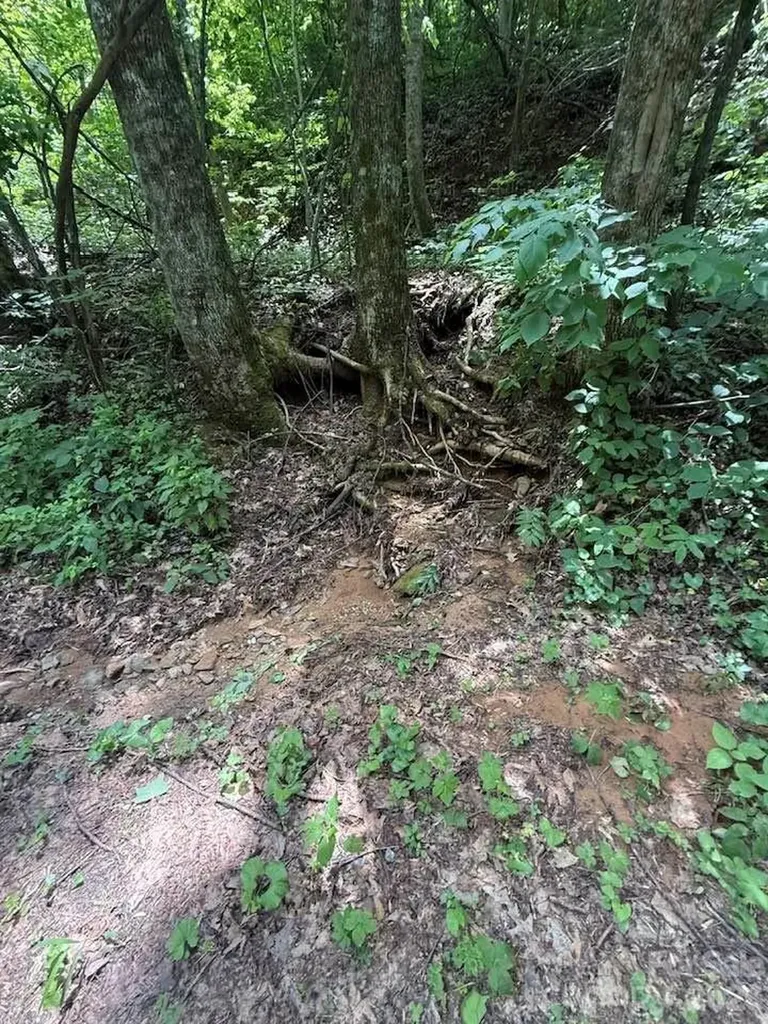 000 Summit Road Tryon NC 28782