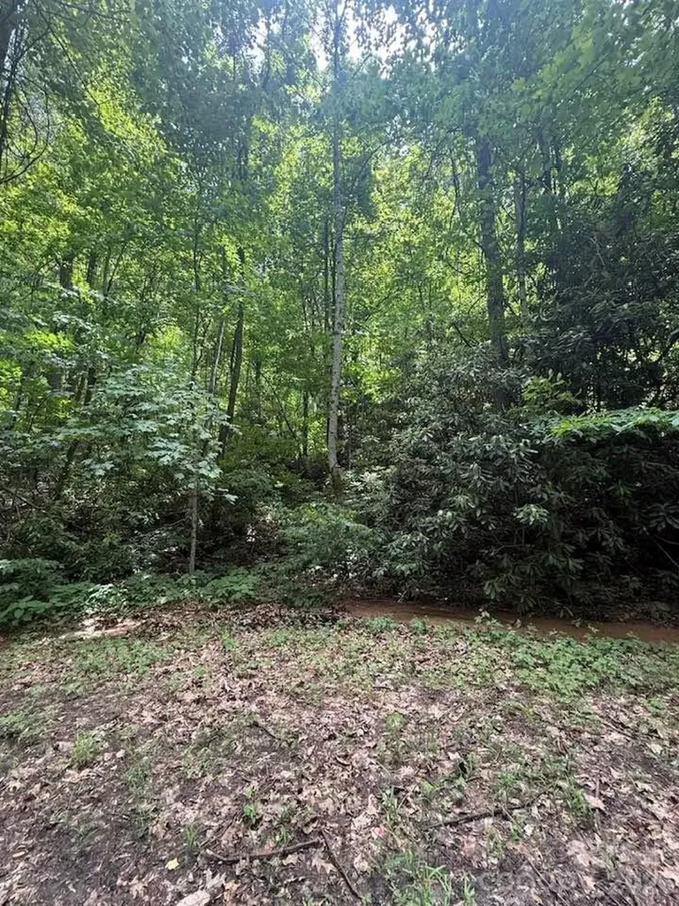 000 Summit Road Tryon NC 28782
