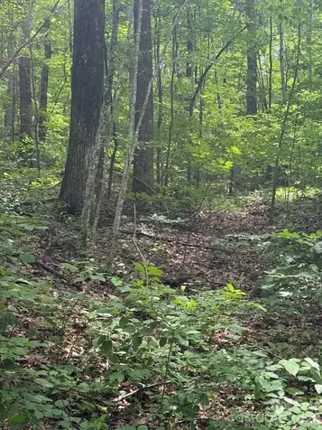 000 Summit Road Tryon NC 28782