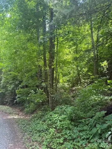 000 Summit Road Tryon NC 28782