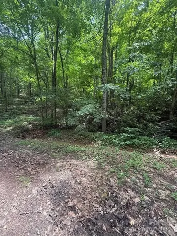 000 Summit Road Tryon NC 28782
