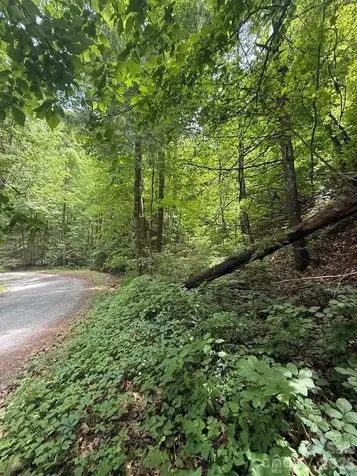 000 Summit Road Tryon NC 28782