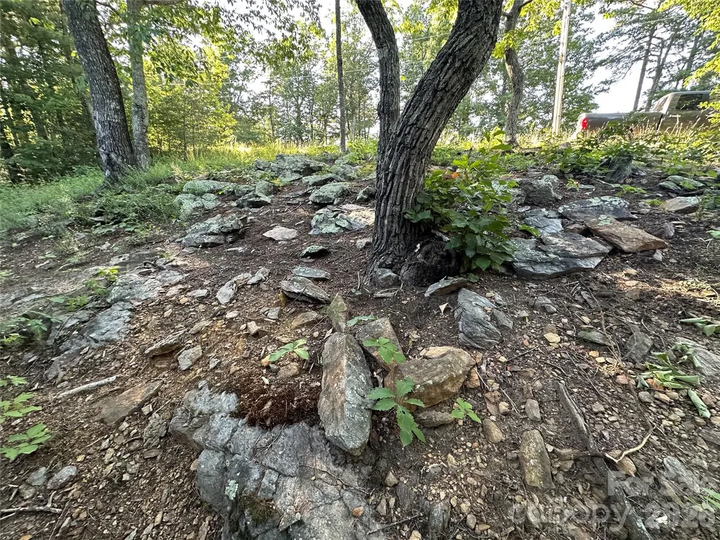 1480 Pine Mountain Drive Connelly Springs NC 28612
