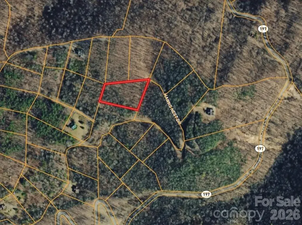 000 Hawks Nest Drive Burnsville NC 28714