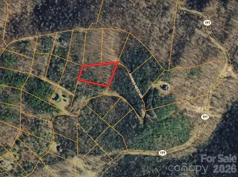 000 Hawks Nest Drive Burnsville NC 28714