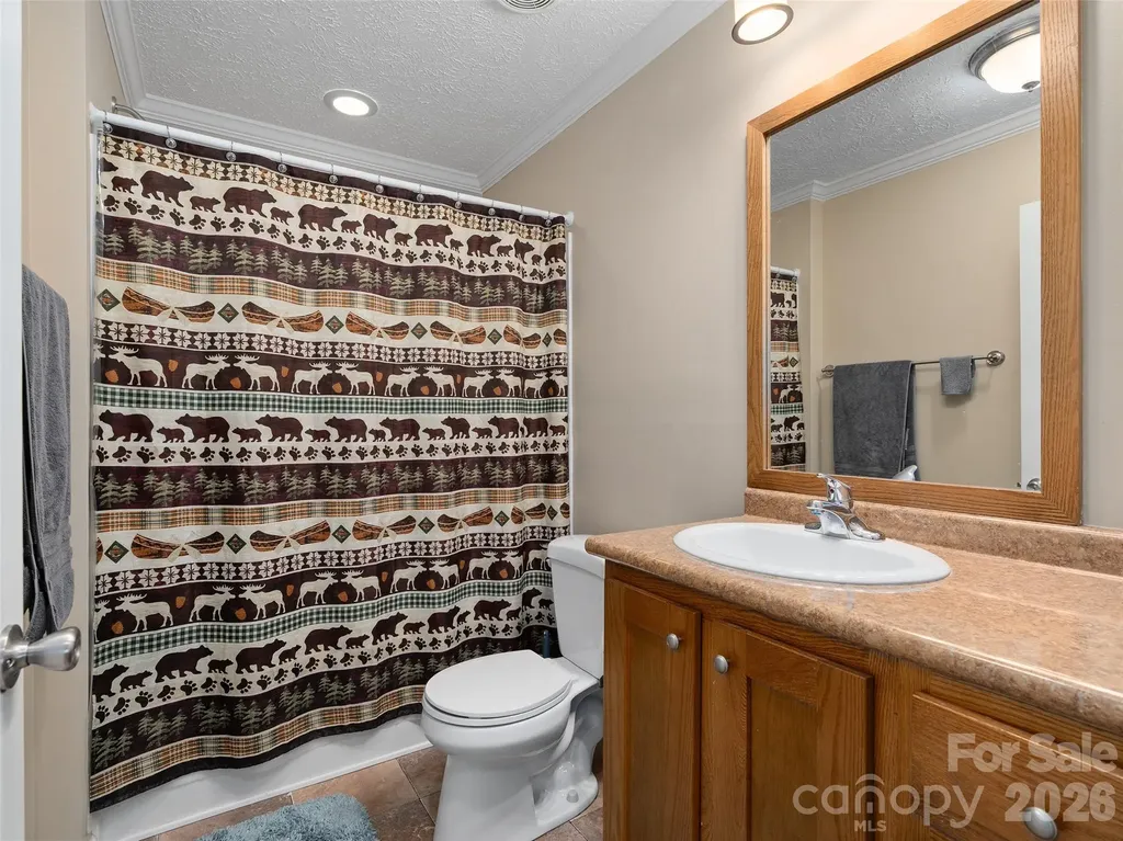 193 Tipstill Cove Waynesville NC 28786