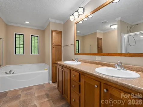 193 Tipstill Cove Waynesville NC 28786