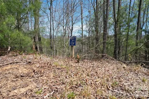 0 High Peak Drive Burnsville NC 28714