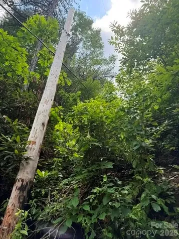 99999 Nc 9 Highway Black Mountain NC 28711