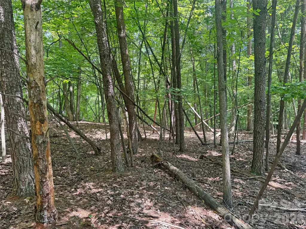 173 Croom Hollow Drive Nebo NC 28761