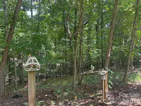 173 Croom Hollow Drive Nebo NC 28761