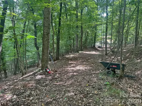 173 Croom Hollow Drive Nebo NC 28761