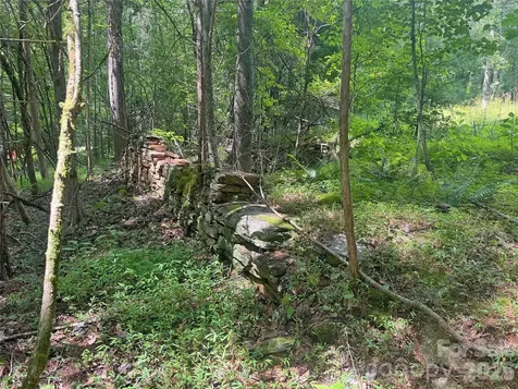 173 Croom Hollow Drive Nebo NC 28761