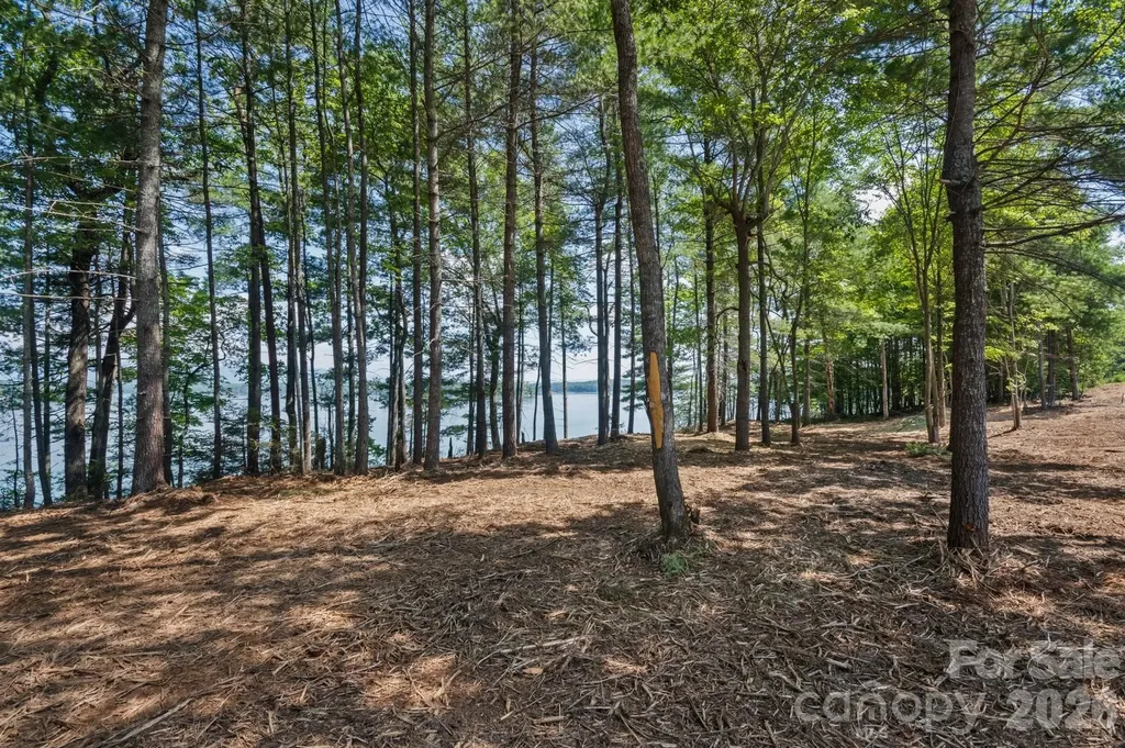 V/l N Powerhouse Road Morganton NC 28655