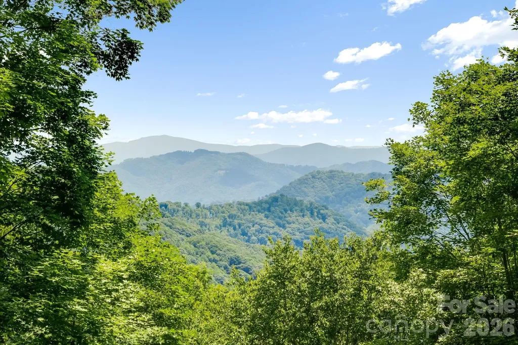 46 Trillium Lane Mars Hill NC 28754