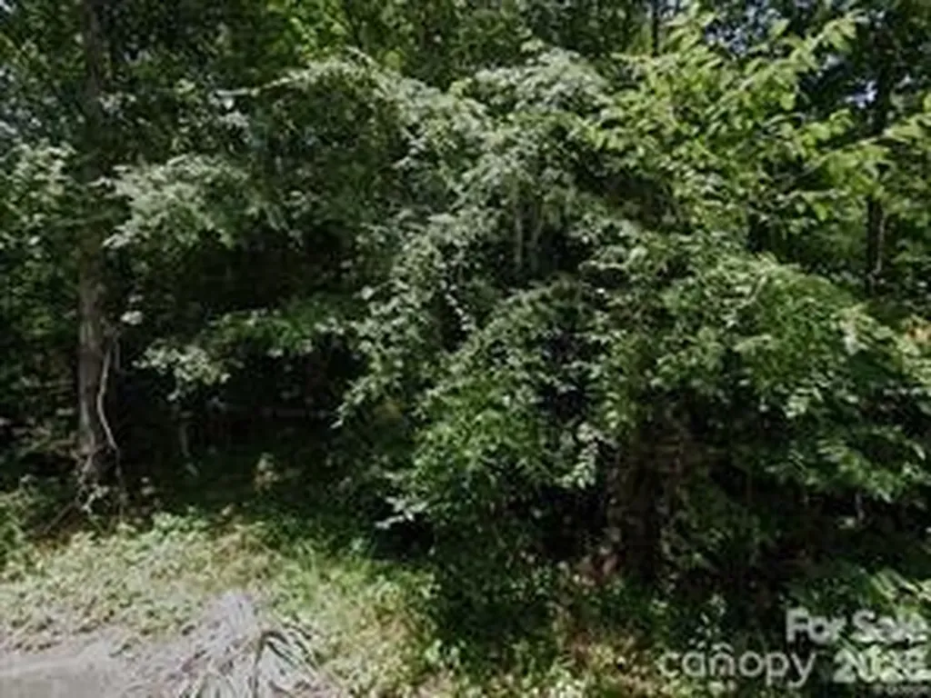 1805 Isaac Place Shelby NC 28152