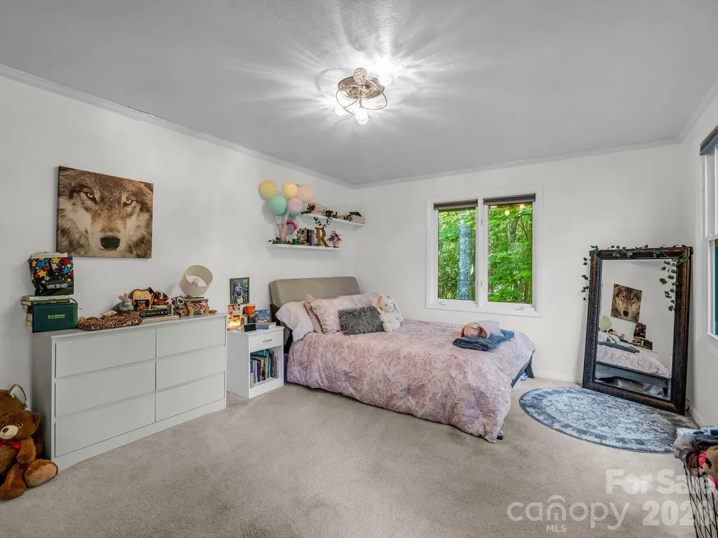 242 Wahuhu Court Brevard NC 28712