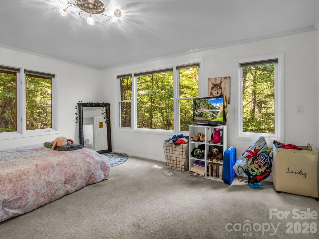242 Wahuhu Court Brevard NC 28712