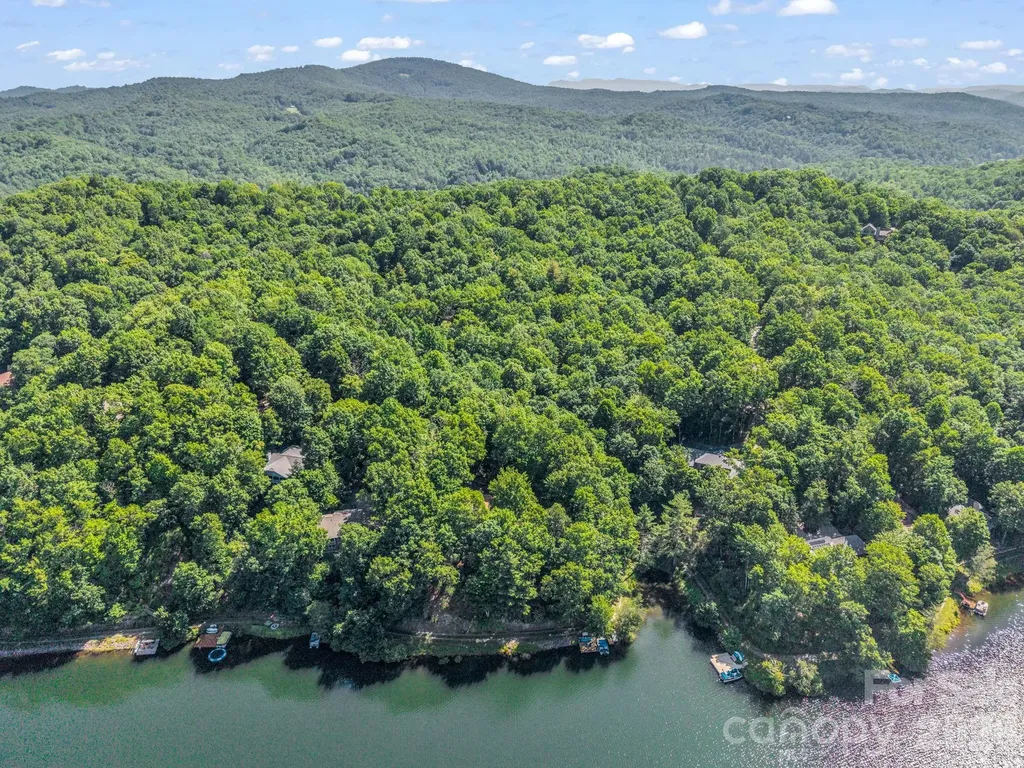 242 Wahuhu Court Brevard NC 28712