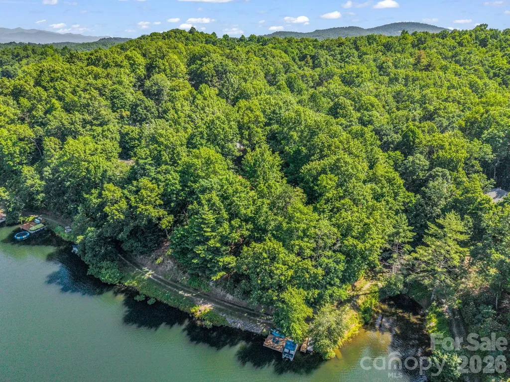 242 Wahuhu Court Brevard NC 28712