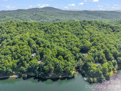 242 Wahuhu Court Brevard NC 28712