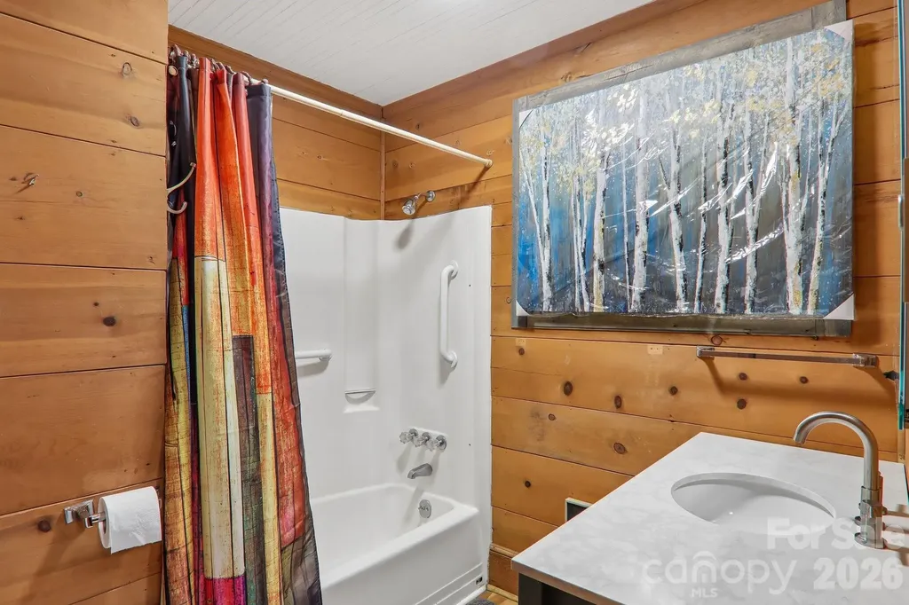 61 Bo Diddly Lane Cedar Mountain NC 28718