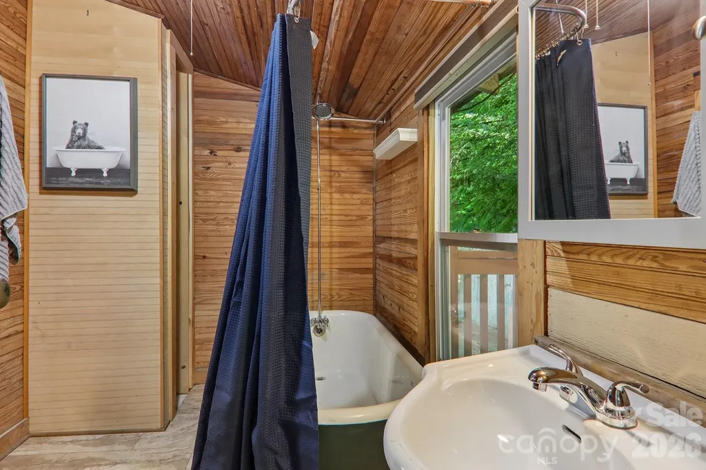 61 Bo Diddly Lane Cedar Mountain NC 28718