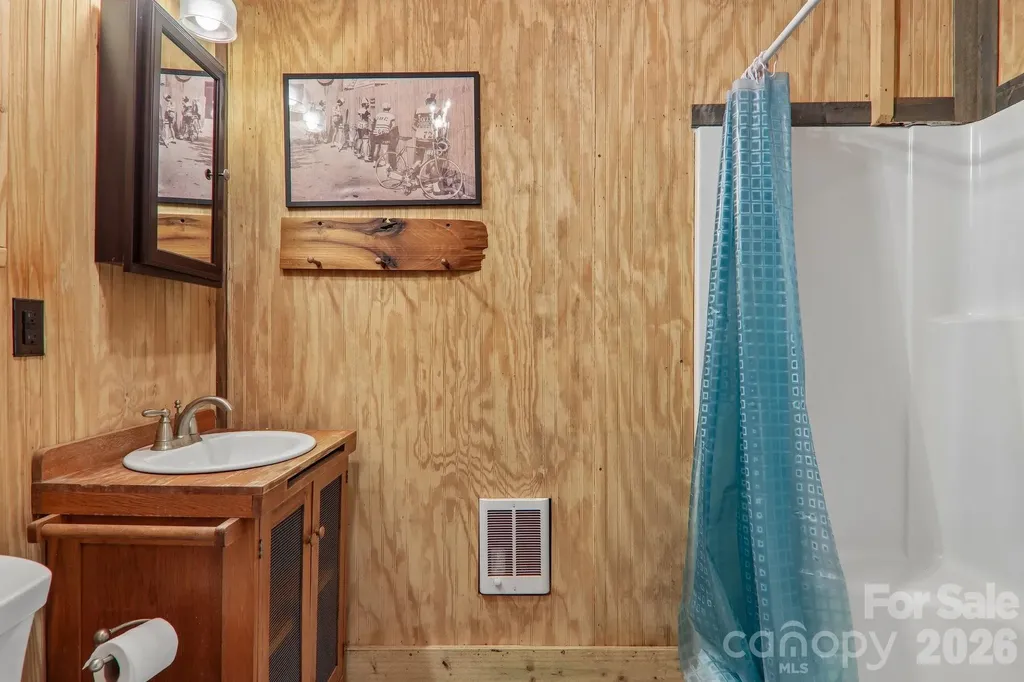 61 Bo Diddly Lane Cedar Mountain NC 28718