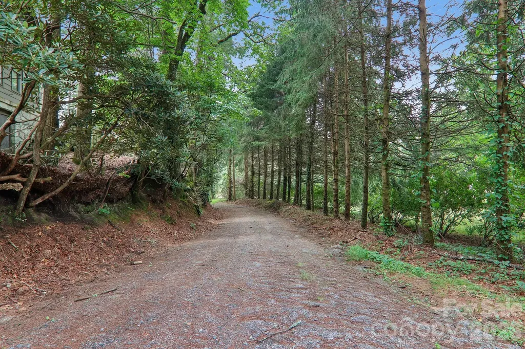 61 Bo Diddly Lane Cedar Mountain NC 28718