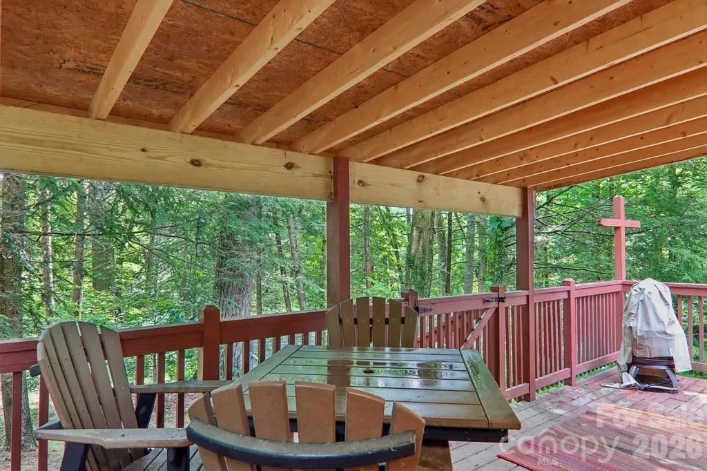 61 Bo Diddly Lane Cedar Mountain NC 28718