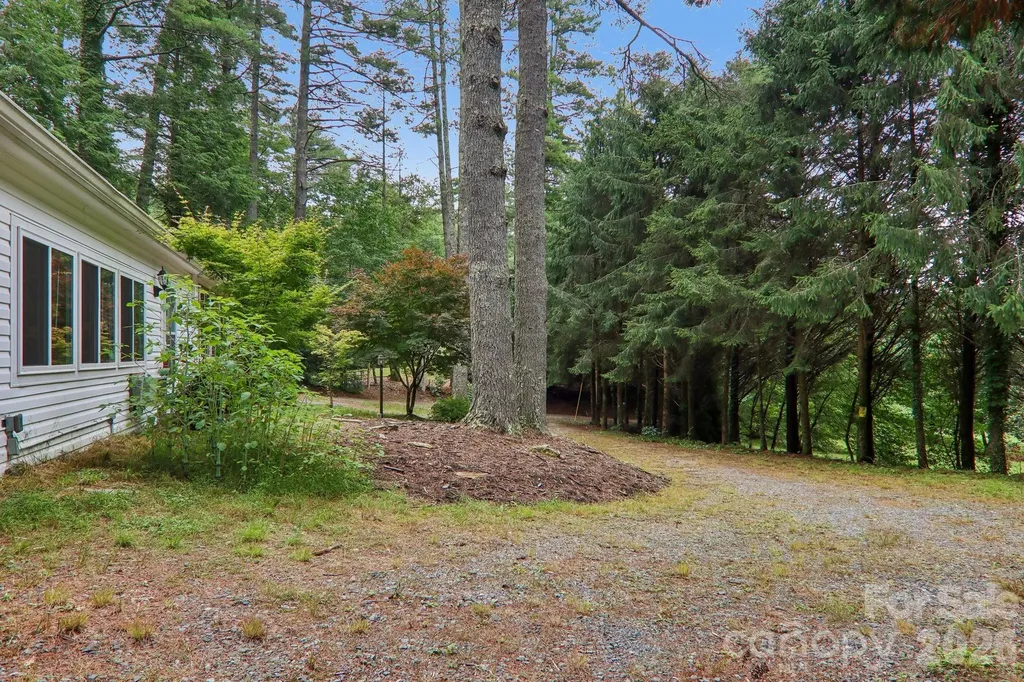 61 Bo Diddly Lane Cedar Mountain NC 28718
