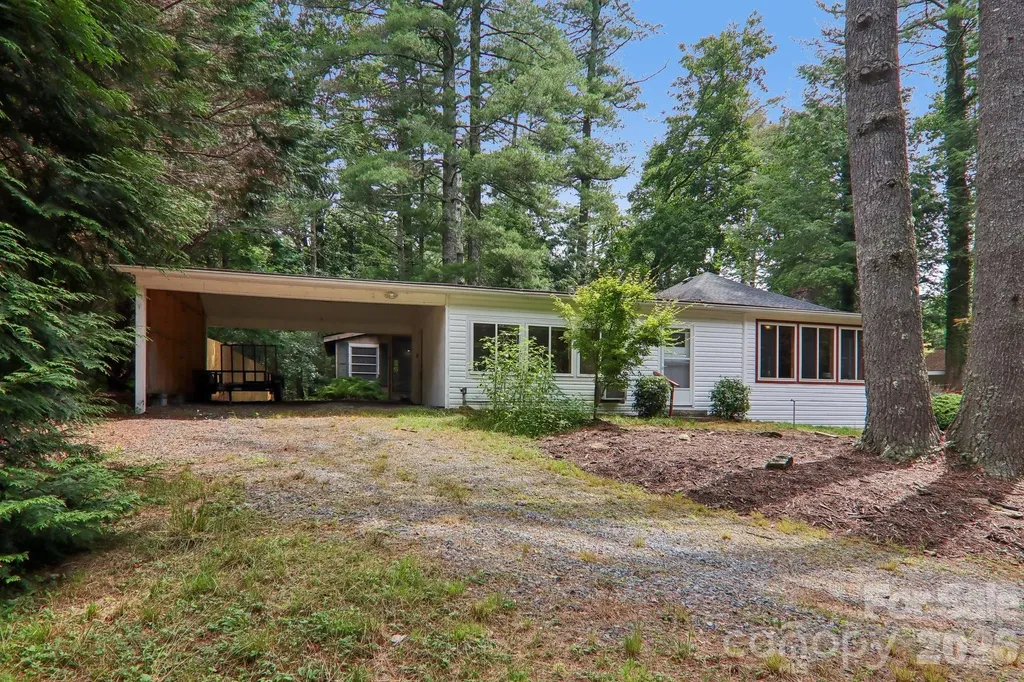 61 Bo Diddly Lane Cedar Mountain NC 28718
